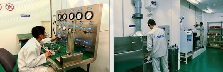 Aerospace Engineering Services JSC (AESC) | Fact-Link Viet Nam