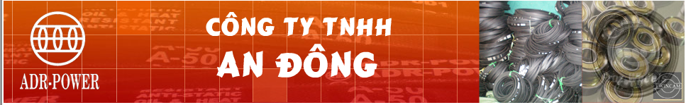 Công ty TNHH An Đông An Dong Co., Ltd | Fact-Link Viet Nam