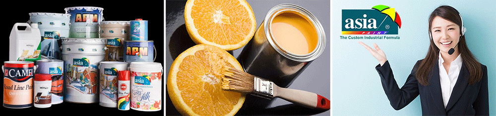 Asia Paint Vietnam Co.,Ltd | Fact-Link Viet Nam