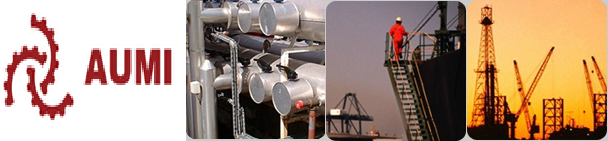 Công ty Thiết bị công nghiệp và Tự động hóa AUMI AUMI Industrial Equipment & Automation Company Limited | Fact-Link Viet Nam