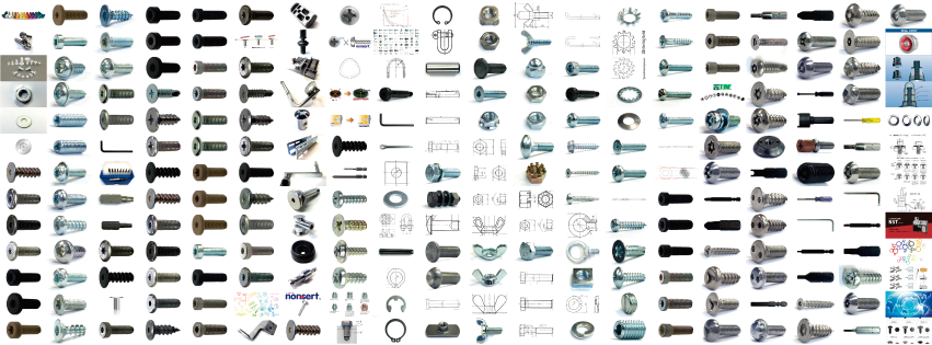 AZUMA VIETNAM | Fact-Link Viet Nam