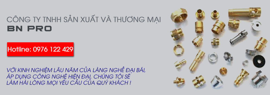 Công Ty TNHH Sản Xuất & Thương Mại BN Pro BN Pro Producing & Trading Co.,Ltd | Fact-Link Viet Nam
