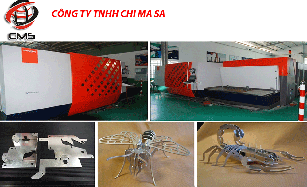 CHI MA SA CO., LTD | Fact-Link Viet Nam
