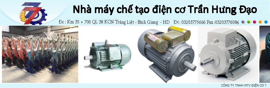 Công Ty TNHH Một Thành Viên Điện Cơ Trần Hưng Đạo Tran Hung Dao Co.,Ltd | Fact-Link Viet Nam