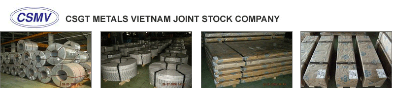 CSGT Metals Vietnam Joint Stock Company | Fact-Link Viet Nam