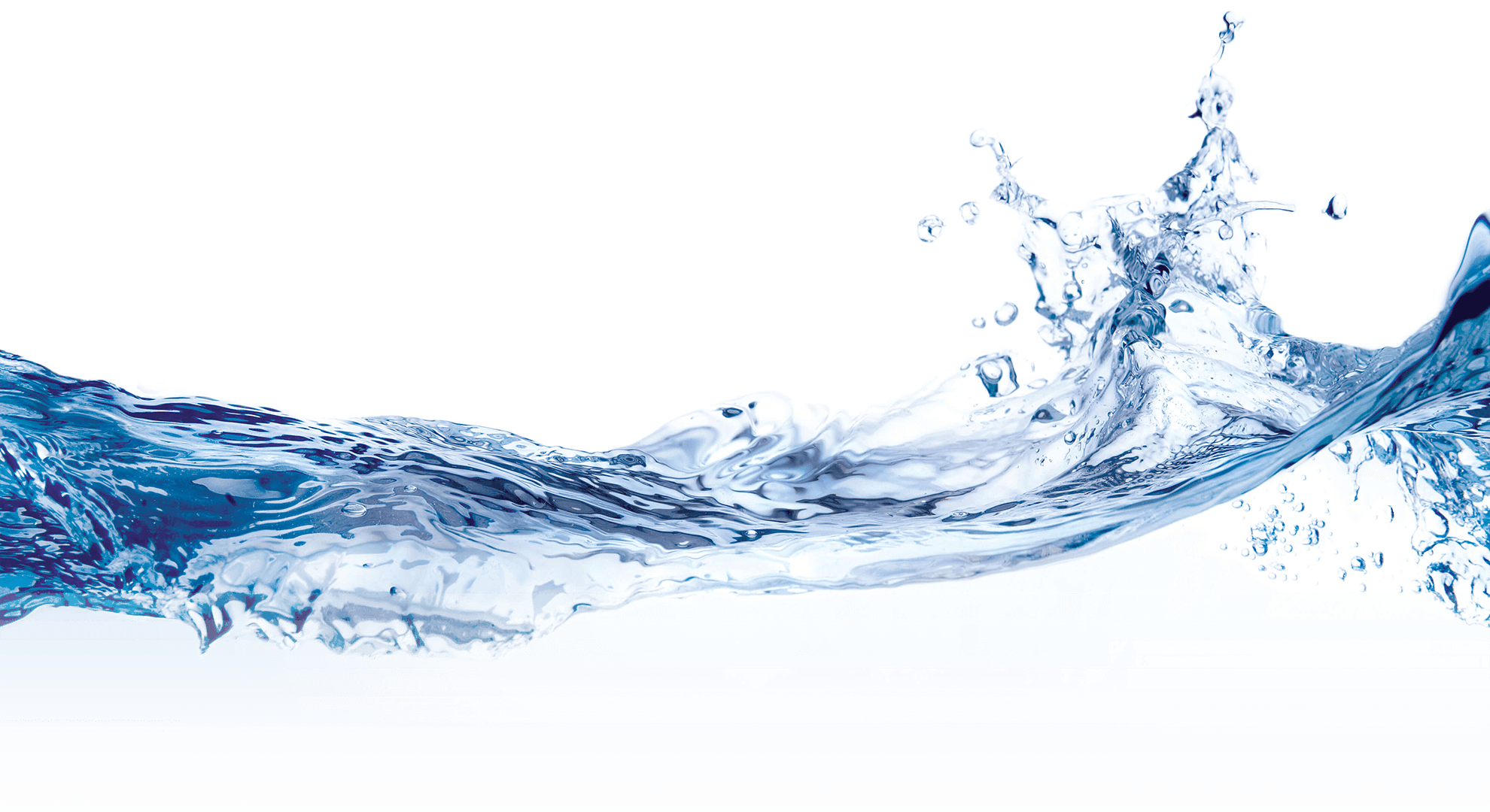 CWC VIET NAM CO., LTD | Fact-Link Viet Nam