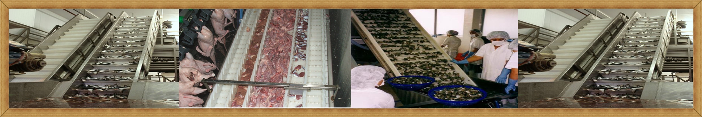 Công Ty TNHH Thương Mại Đan Việt Dan Viet Trading Co., Ltd | Fact-Link Viet Nam