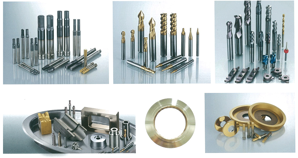 DIMTON CO.,LTD. | Fact-Link Viet Nam