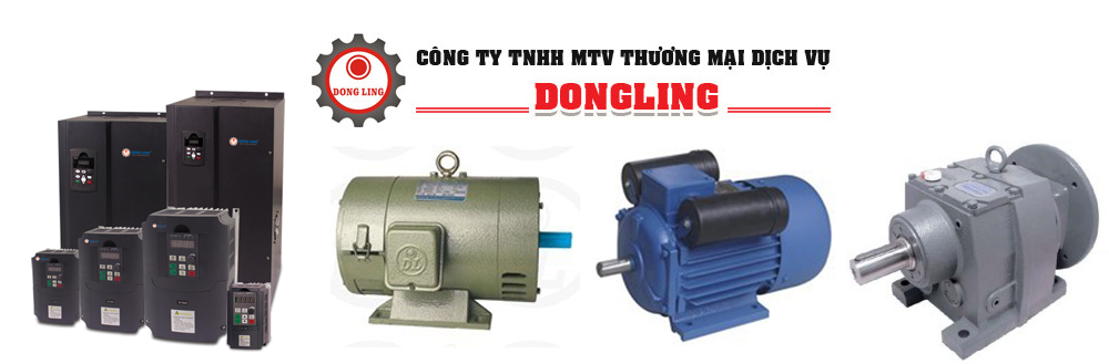 Công Ty TNHH MTV TM DV Dong Ling Dong Ling Trading Service Co.,Ltd. | Fact-Link Viet Nam
