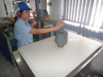 永大化工ベトナム EIDAI  KAKO (VIETNAM)  CO.,LTD. | Fact-Link Viet Nam
