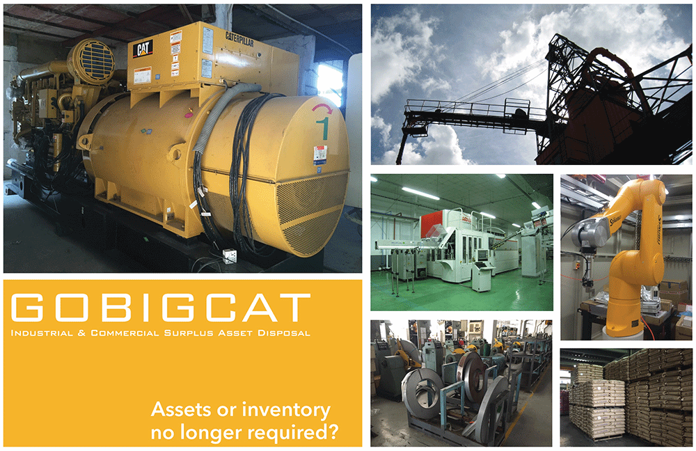 GOBIGCAT HK | Fact-Link Viet Nam