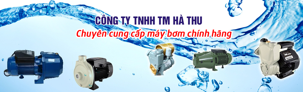 Công Ty TNHH Thương Mại Hà Thu Ha Thu Trading Co.,Ltd | Fact-Link Viet Nam