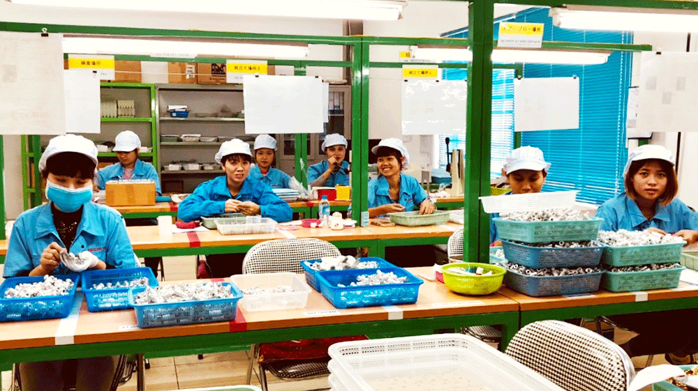 ヒラカワ ベトナム HIRAKAWA VIETNAM CO., LTD. | Fact-Link Viet Nam
