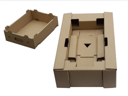 Carton Box