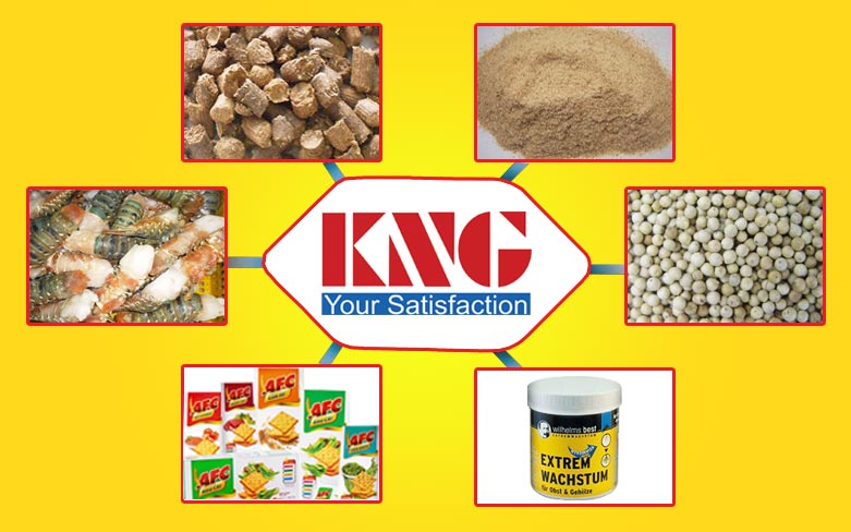KIM NGHIA CO.,LTD.-KNG | Fact-Link Viet Nam