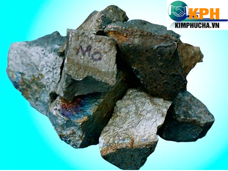 Công Ty TNHH Kim Phúc Hà Kim Phuc Ha Co.,Ltd | Fact-Link Viet Nam