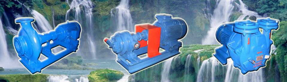 Công Ty TNHH Lan Minh Nguyễn Lan Minh Nguyen Co.,Ltd | Fact-Link Viet Nam