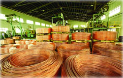 CÔNG TY CỔ PHẦN NGÔ HAN NGO HAN JOINT STOCK COMPANY | Fact-Link Viet Nam