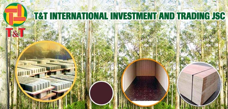 T&T International Investment and Trading JSC | Fact-Link Viet Nam