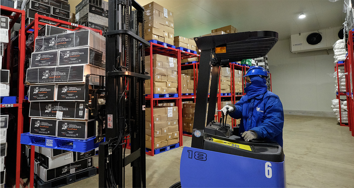 CÔNG TY TNHH SG SAGAWA VIỆT NAM SG SAGAWA VIETNAM CO., LTD | Fact-Link Viet Nam