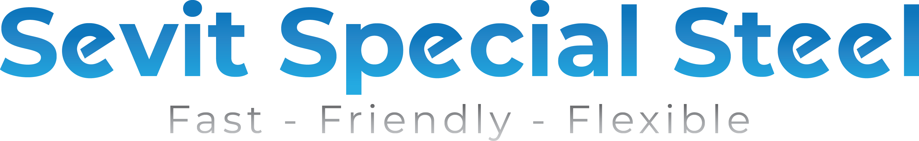 SEVIT SPECIAL STEEL JOINT STOCK COMPANY | Fact-Link Viet Nam