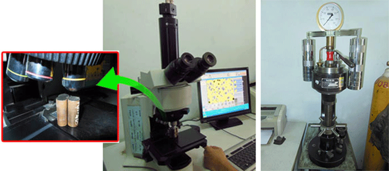 CÔNG TY TNHH SHIN FUNG INDUSTRIAL Shin Fung Industrial Co., Ltd. | Fact-Link Viet Nam