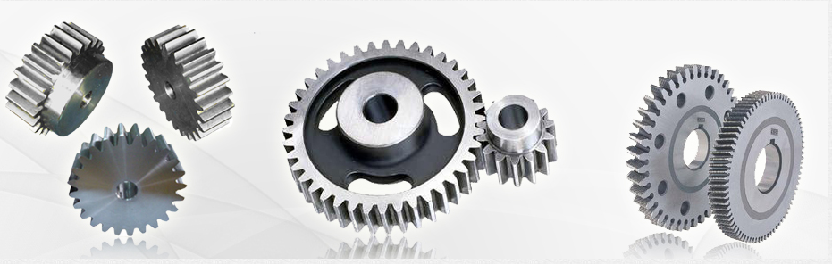 Công Ty TNHH Đầu Tư Thương Mại Tân Long Tan Long Trading Investment Tan Long Co.,Ltd | Fact-Link Viet Nam