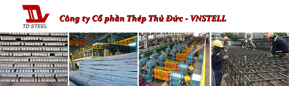 Công ty Cổ phần Thép Thủ Đức - VNSTELL Thu Duc Steel JSC | Fact-Link Viet Nam