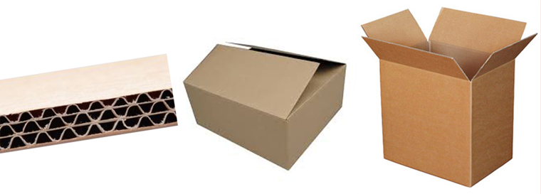 Công Ty TNHH Thương Mại Dịch Vụ Thịnh Vượng Phát Thinh Vuong Phat Trading Service Co.,Ltd | Fact-Link Viet Nam