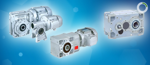 Công Ty TNHH MTV Thương Mại Hà My Ha My Co.,Ltd | Fact-Link Viet Nam