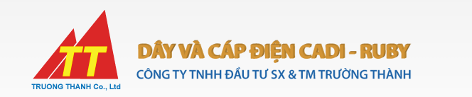 Công Ty TNHH Đầu Tư Sản Xuất & Thương Mại Trường Thành Truong Thanh Producing & Trading Co.,Ltd | Fact-Link Viet Nam