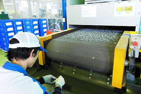 TOPY FASTENERS VIETNAM CO., LTD. | Fact-Link Viet Nam