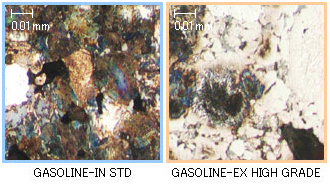 CÔNG TY TNHH TPR VIỆT NAM TPR Vietnam Co.,Ltd. | Fact-Link Viet Nam