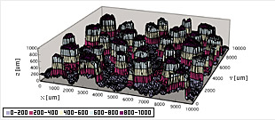 TPR ベトナム TPR Vietnam Co.,Ltd. | Fact-Link Viet Nam