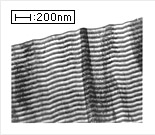 TPR Vietnam Co.,Ltd. | Fact-Link Viet Nam