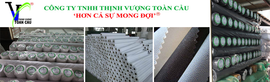 Công Ty TNHH Thịnh Vượng Toàn Cầu Thinh Vuong Toan Cau Co.,Ltd | Fact-Link Viet Nam