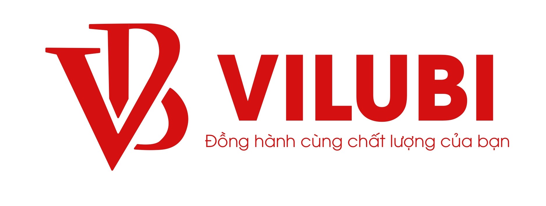 Công ty TNHH ViluBi VILUBI CO,.LTD | Fact-Link Viet Nam