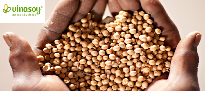 Công ty sữa đậu nành Việt Nam Vietnam Soya Products Company | Fact-Link Viet Nam