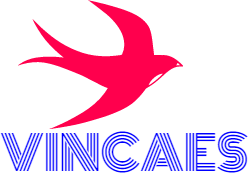 VINCAES VINCAES | Fact-Link Viet Nam