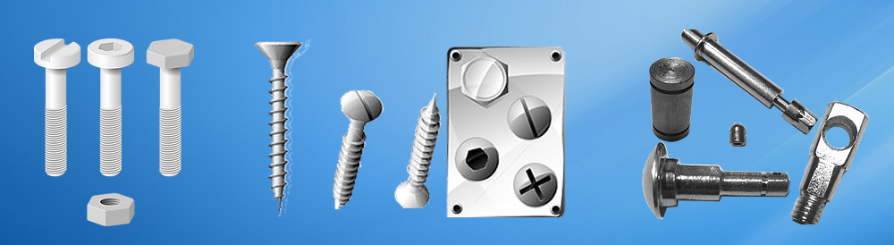 Vinh Vien one-member Co.,Ltd | Fact-Link Viet Nam