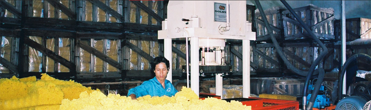 Công Ty TNHH Đầu Tư Thương Mại & Xuất Nhập Khẩu Hà Nội Ha Noi Investment Trading & Import- Export Co.,Ltd | Fact-Link Viet Nam