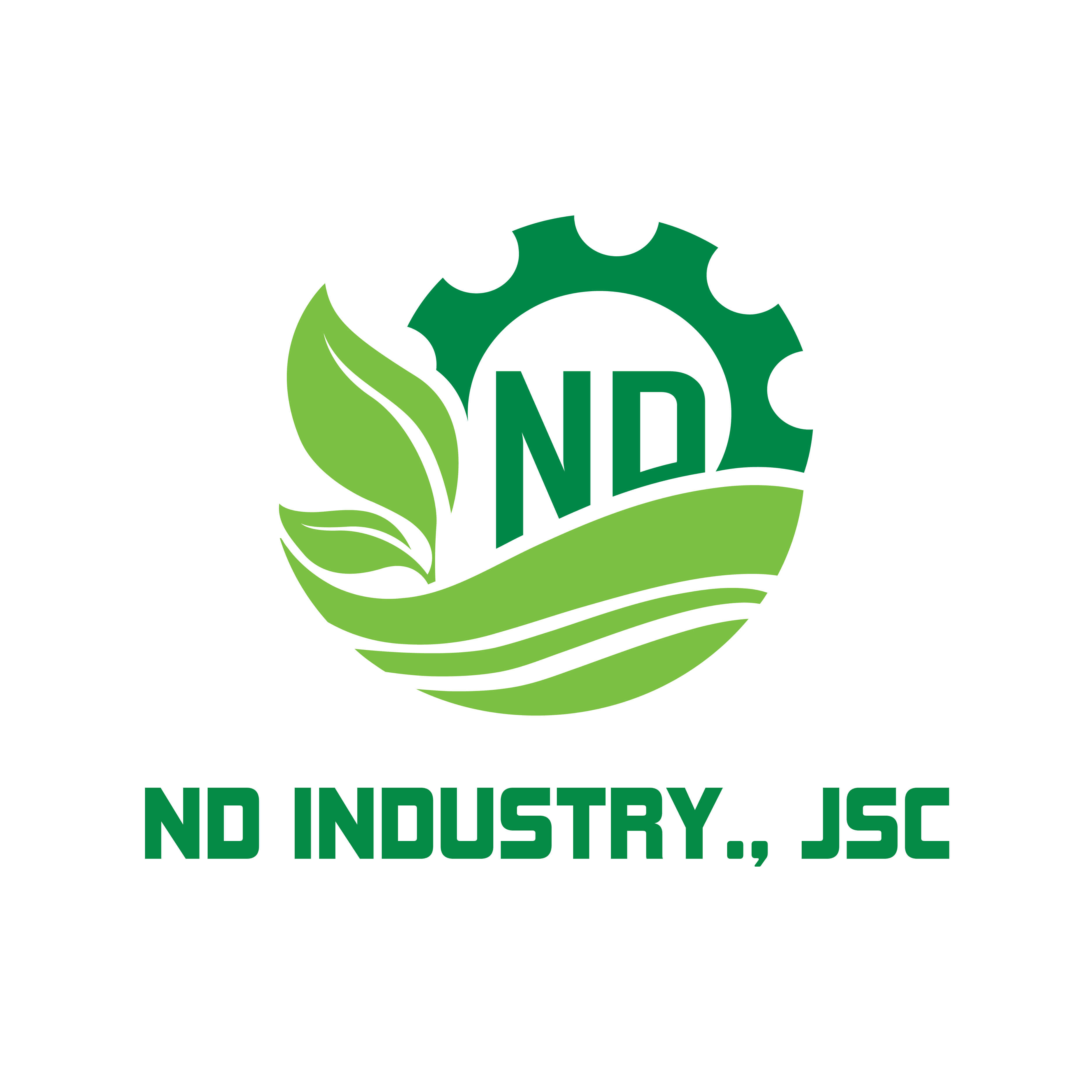 ND VIET NAM INDUSTRY JOINT STOCK COMPANY